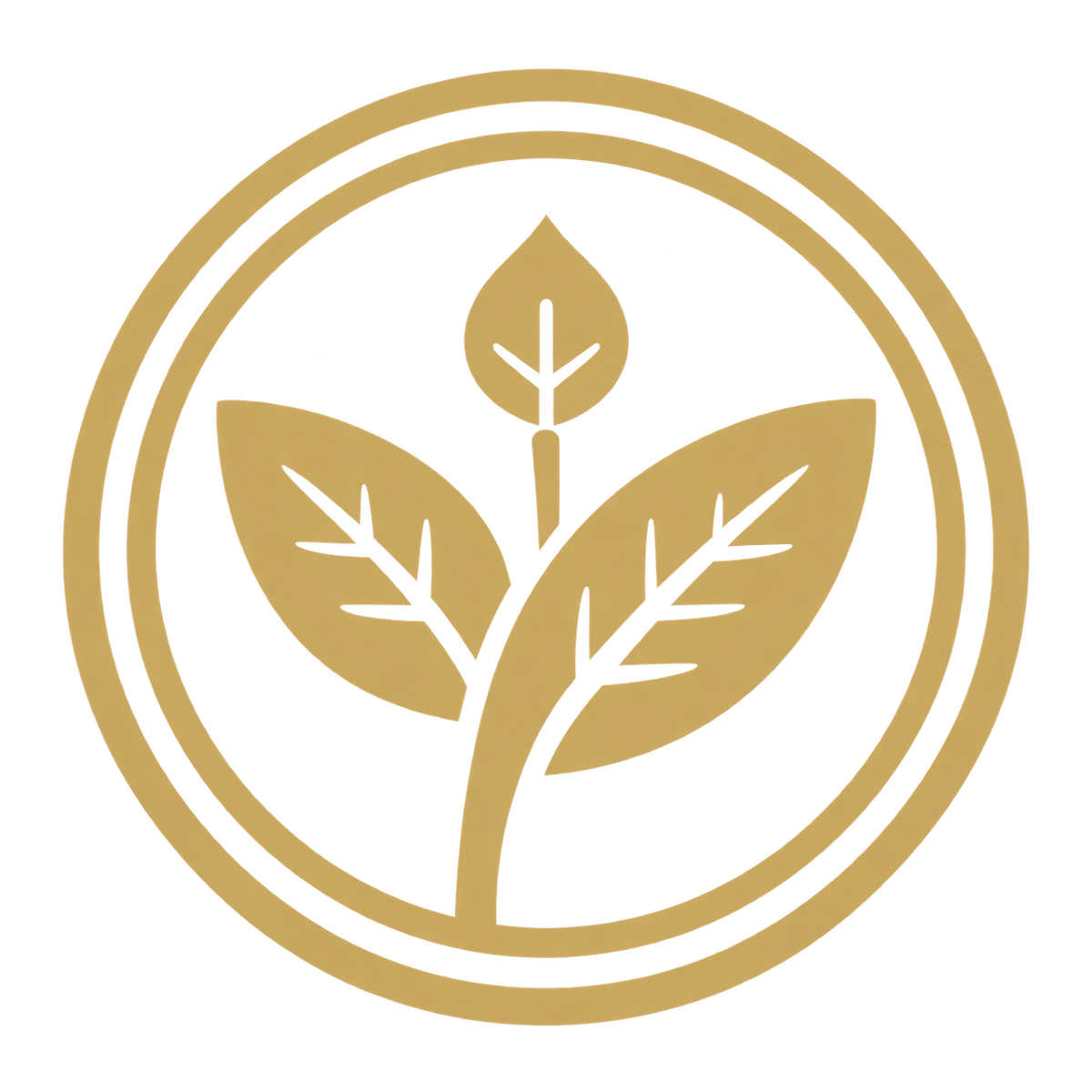 Seikicha
